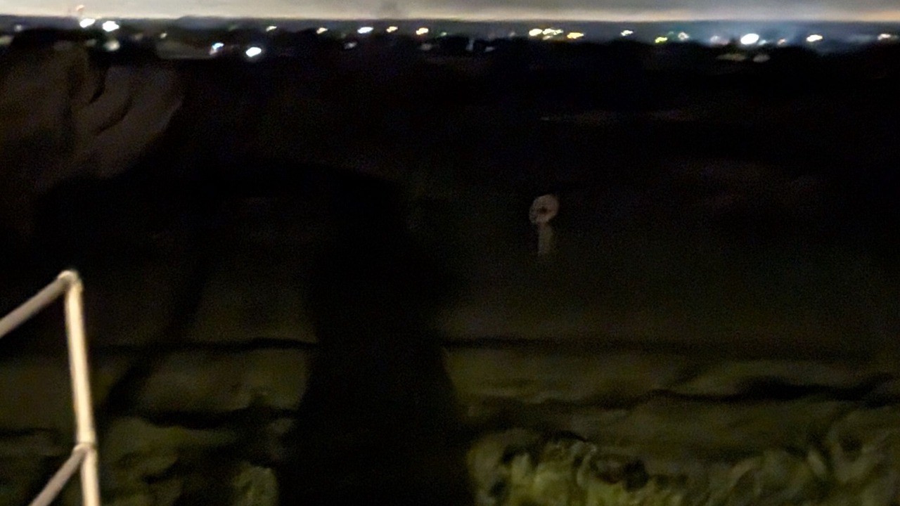 Photo of Others in Copperas Cove