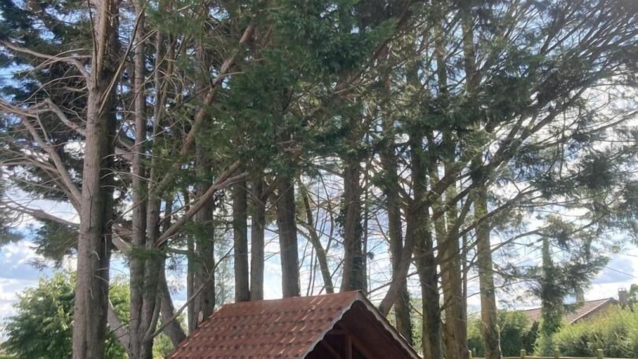Photo of Others in Romenay