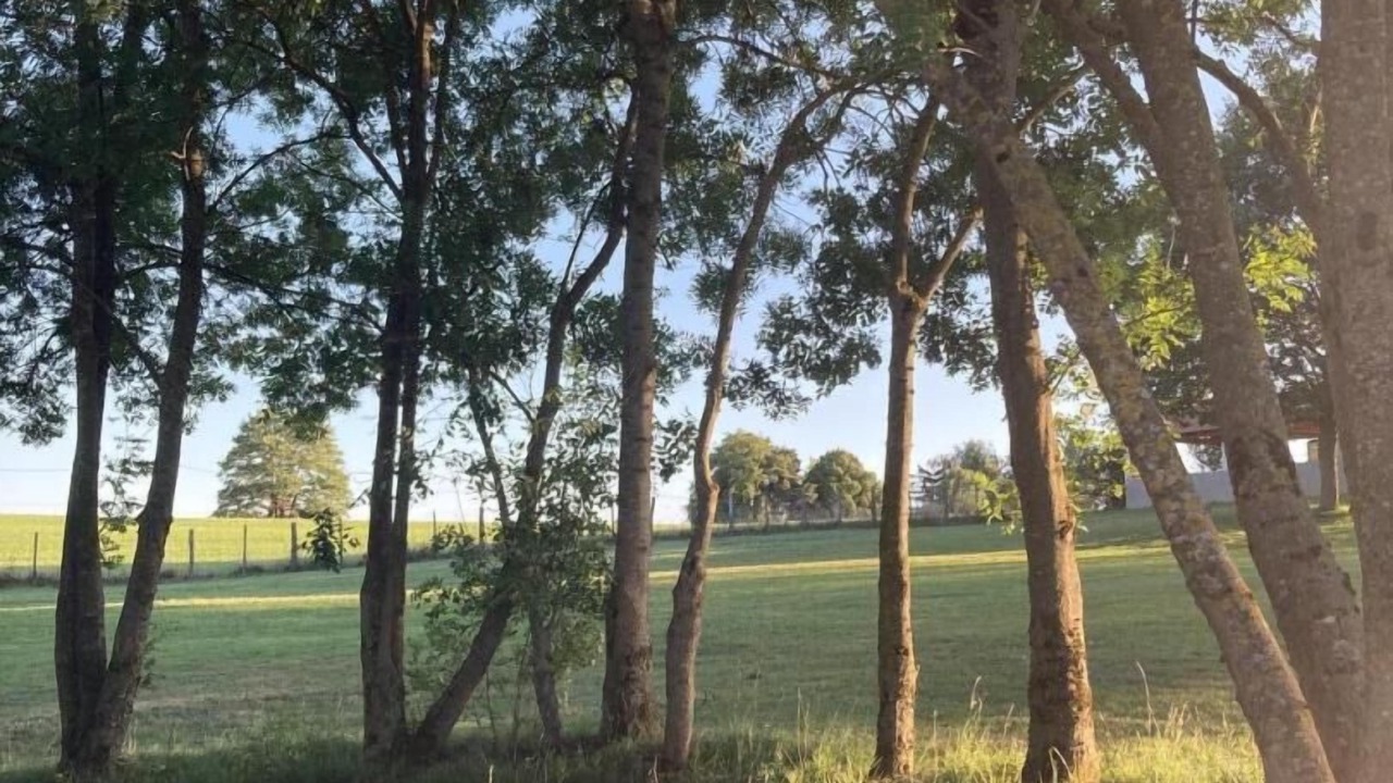 Photo of Outdoor in Romenay