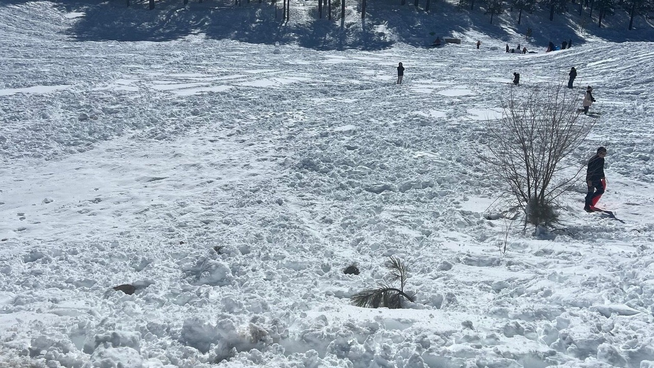 Photo of Others in Ponderosa Trails
