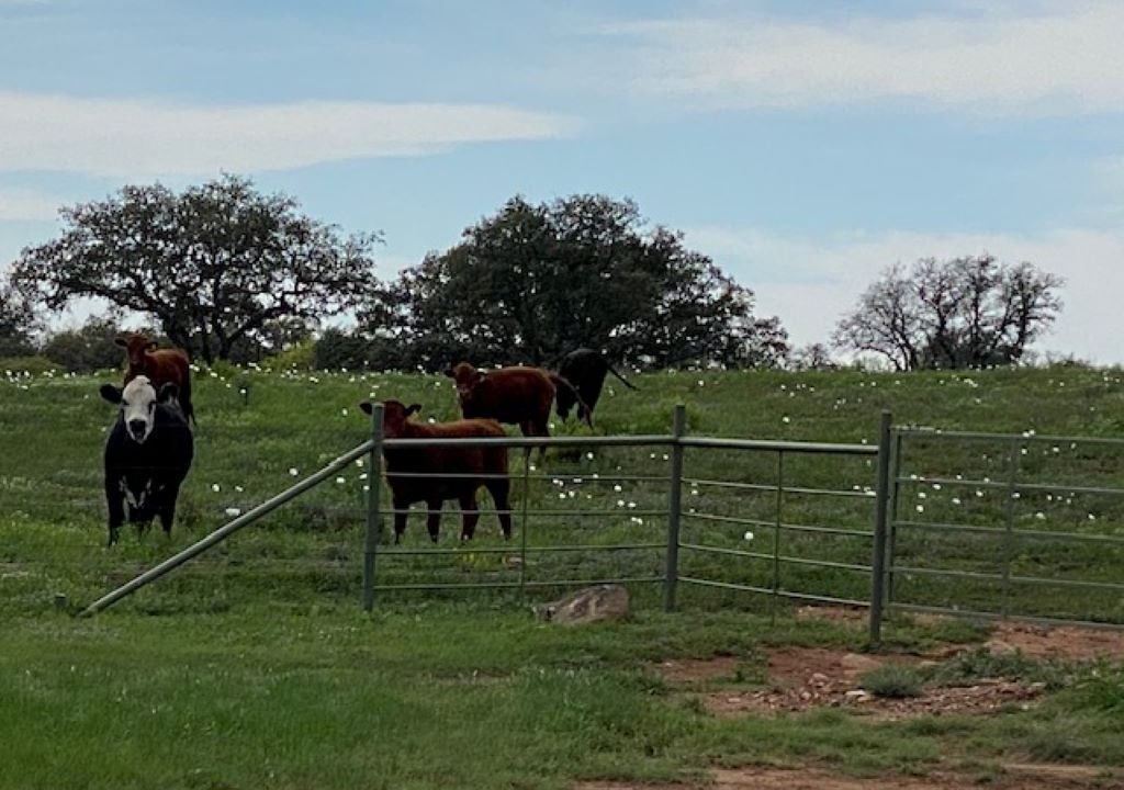 Photo of Outdoor in Llano County