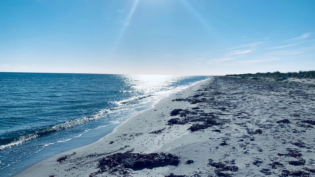 Photo of Others in Læsø