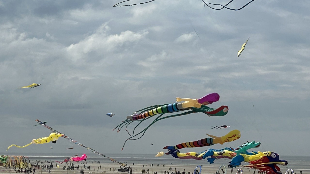 Photo of Others in Berck-sur-Mer