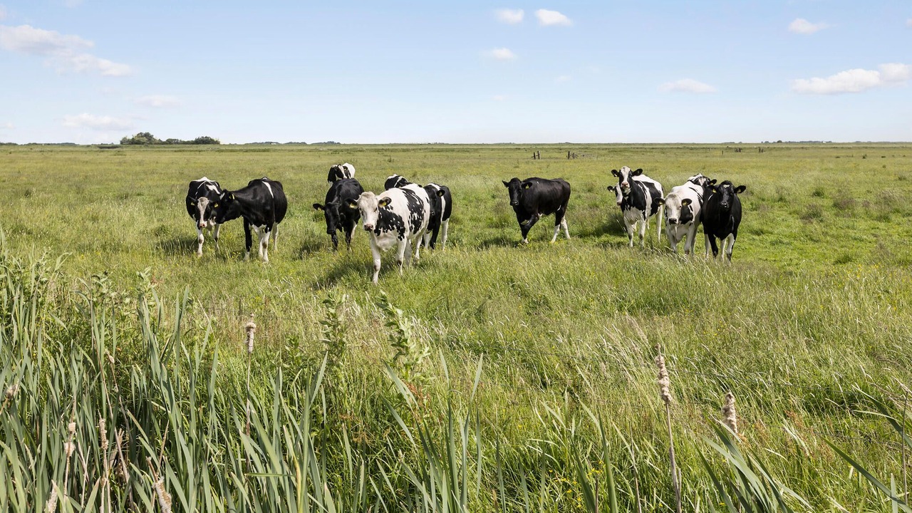 Photo of Others in Hojer