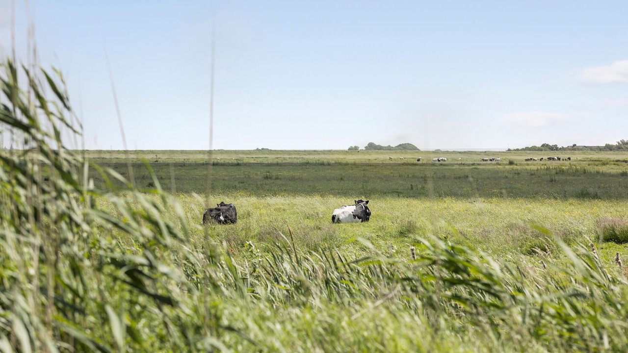 Photo of Bedroom in Hojer