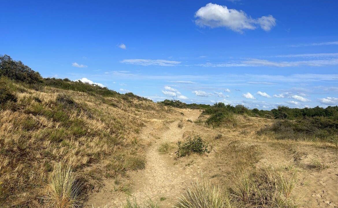 Photo of Outdoor in Bray-Dunes