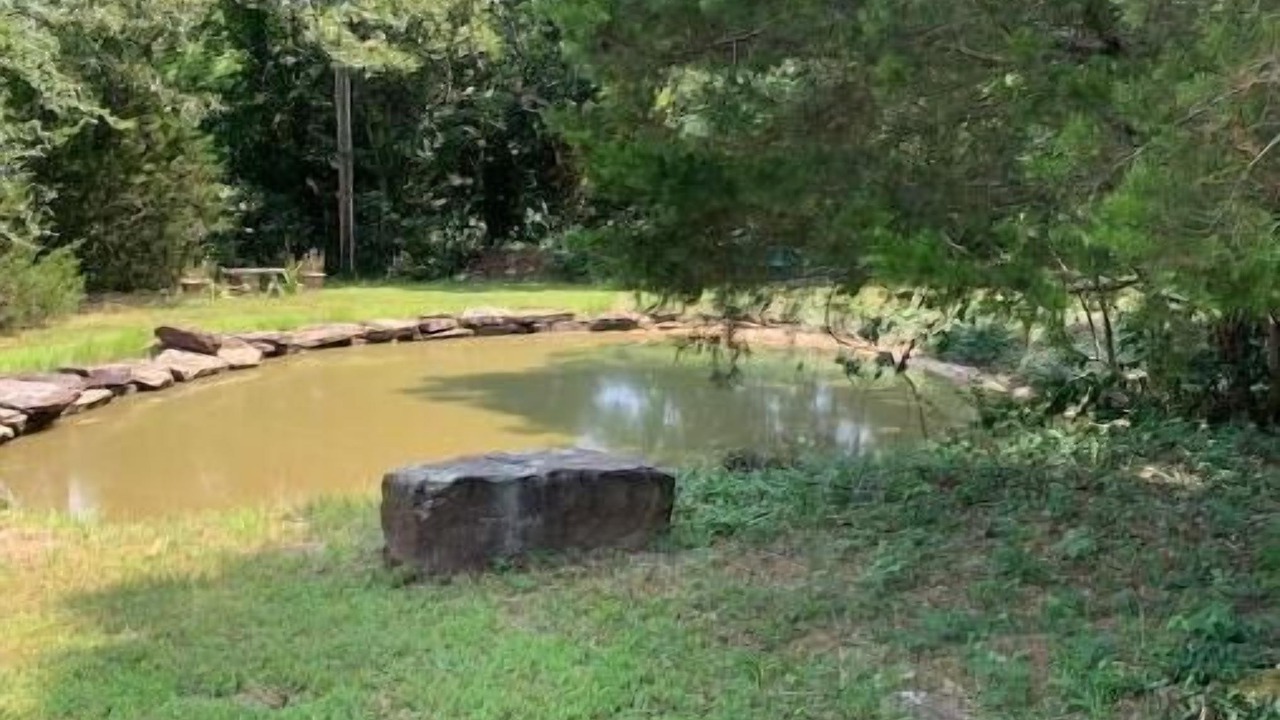 Photo of Outdoor in Bates