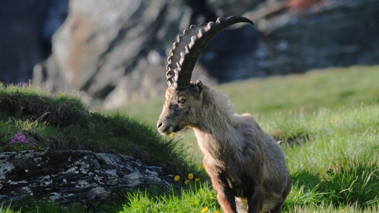 Photo of Others in Saas-Balen