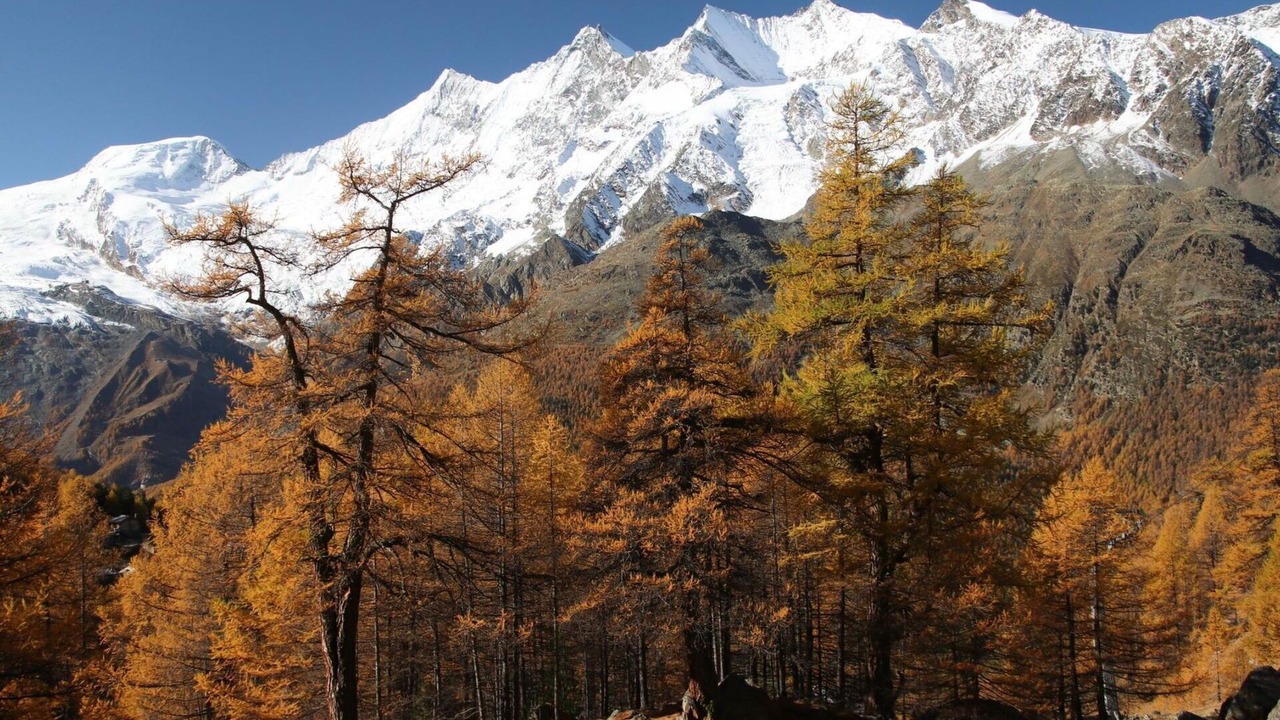 Photo of Others in Saas-Balen
