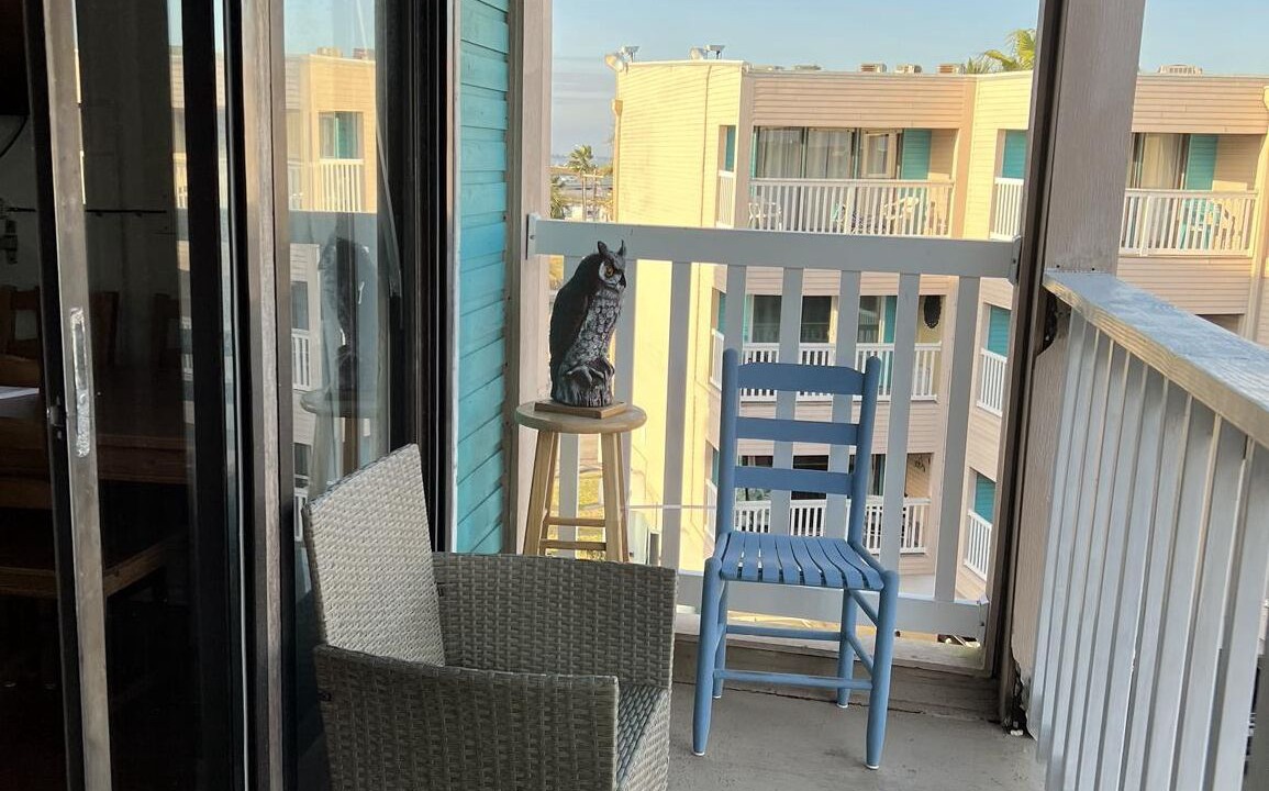 Photo of Outdoor in North Beach