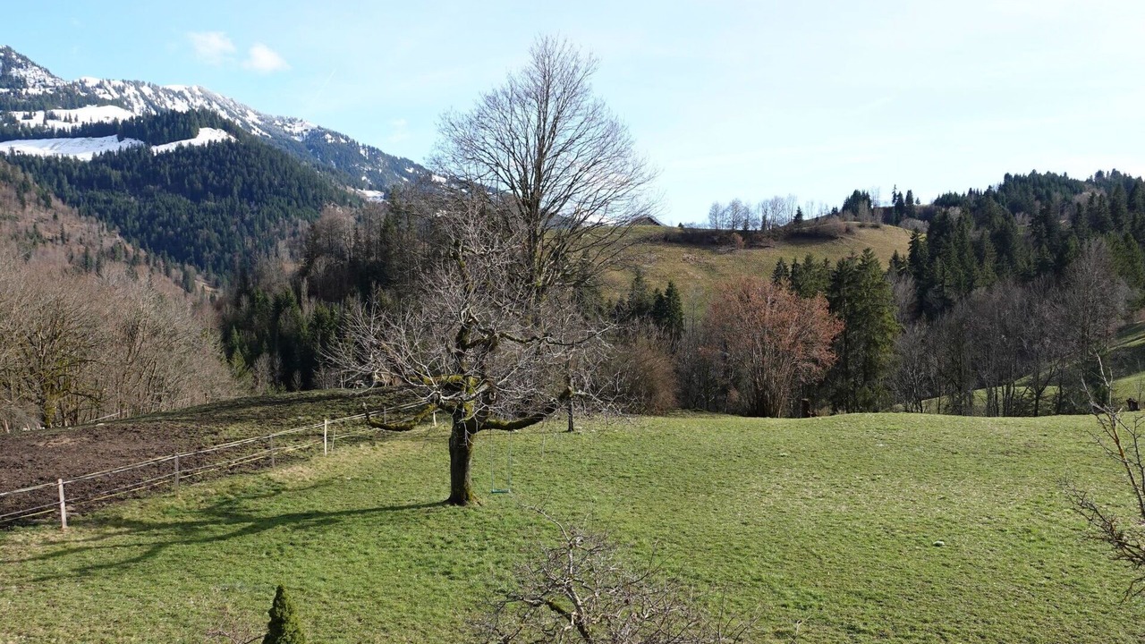 Photo of Others in Boltigen