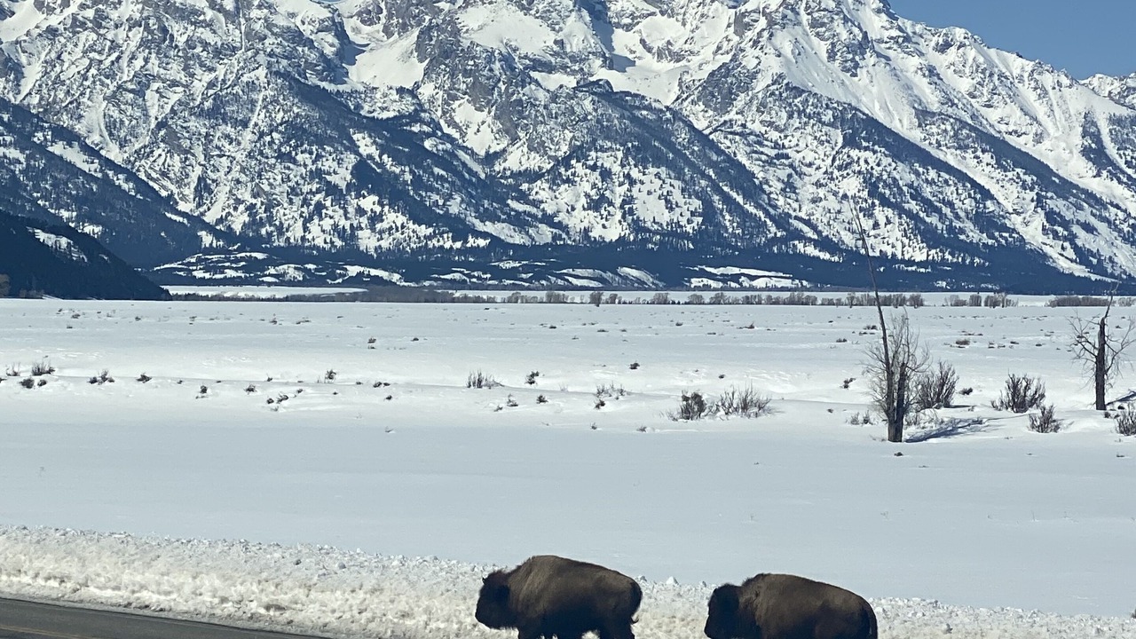 Photo of Others in Teton Pines