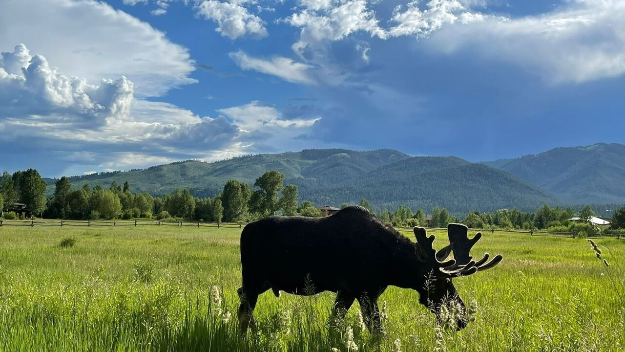 Photo of Others in Teton Pines