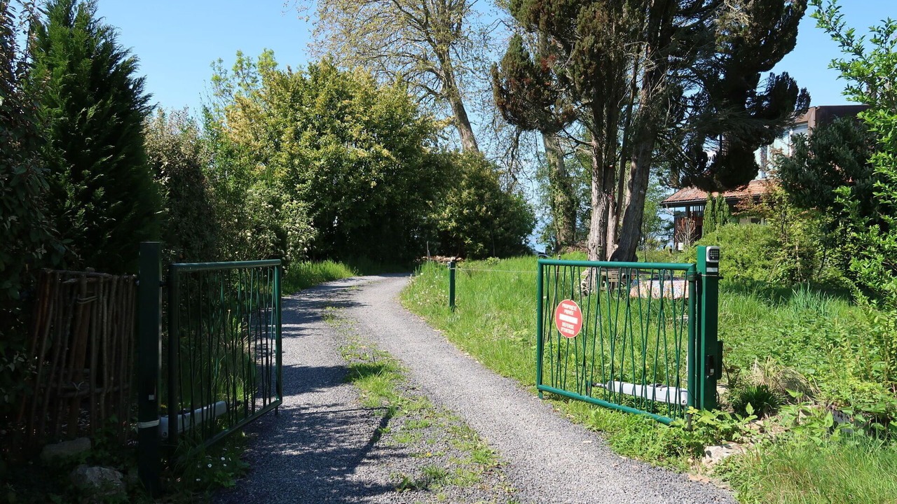 Photo of Others in Noville