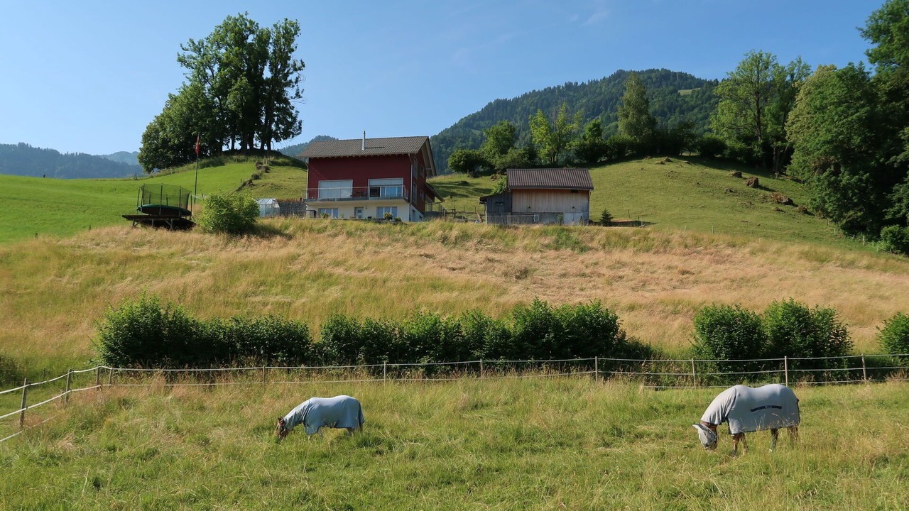 Photo of Others in Reichenburg