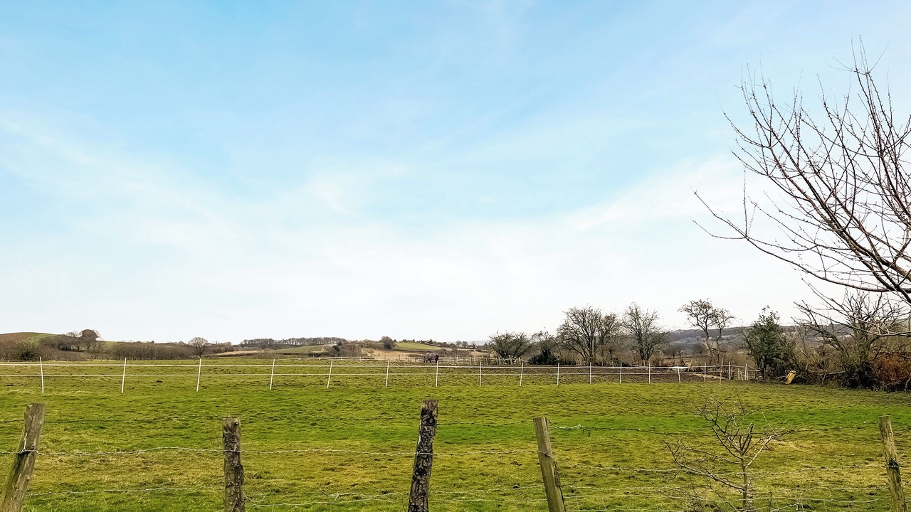 Photo of Others in Sheffield