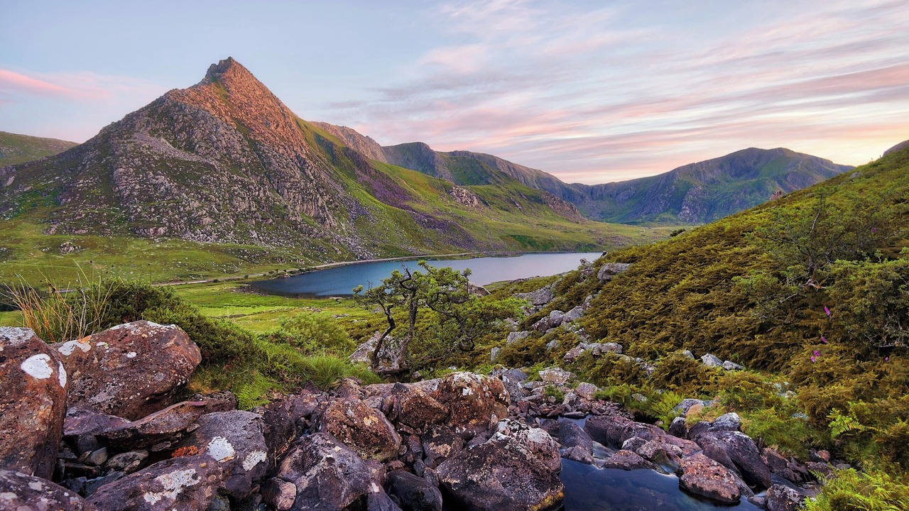 Photo of Others in Bala