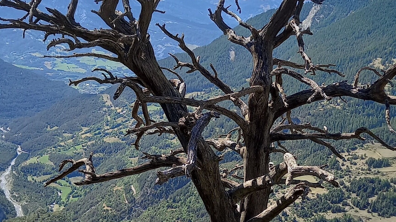 Photo of Outdoor in Le Lauzet-Ubaye