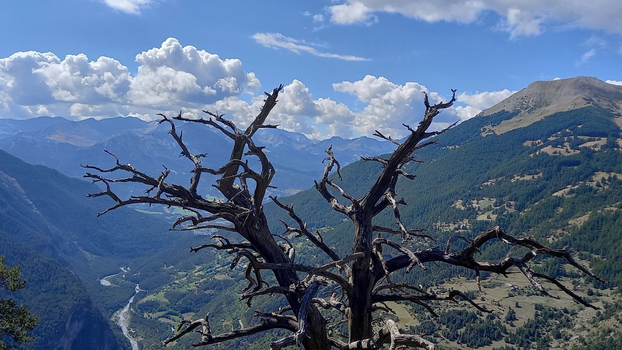 Photo of Others in Le Lauzet-Ubaye