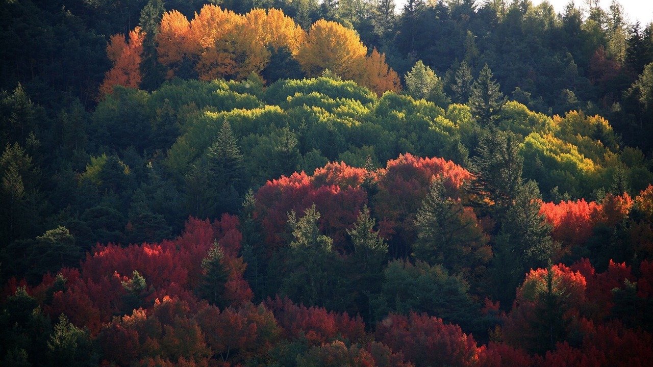 Photo of Outdoor in Le Lauzet-Ubaye