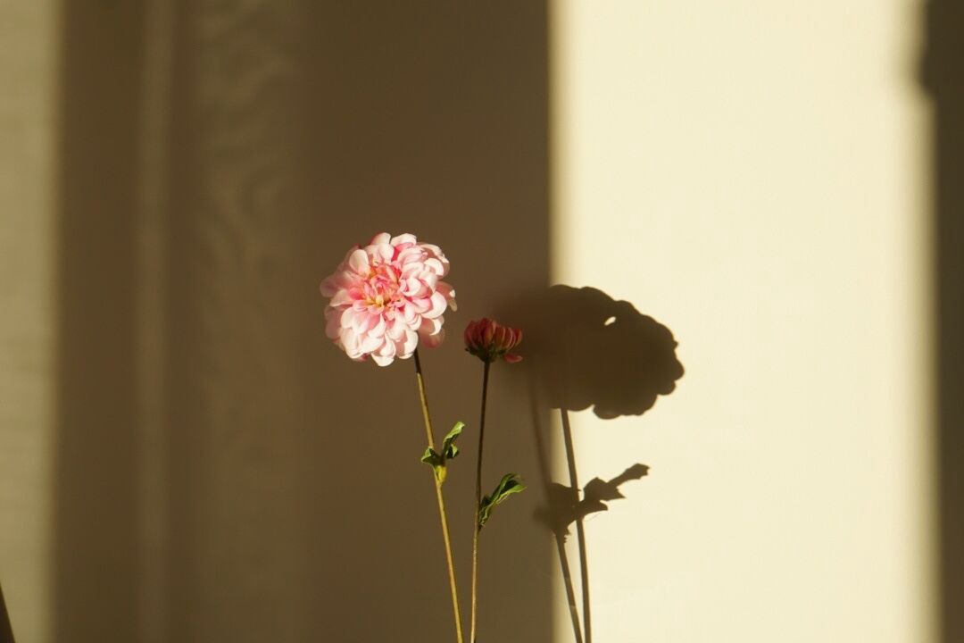 Photo of Others in Saint-Florent