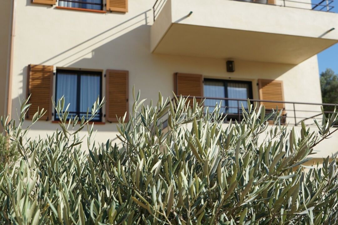 Photo of Outdoor in Saint-Florent