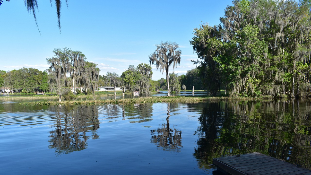 Photo of Others in Dunnellon