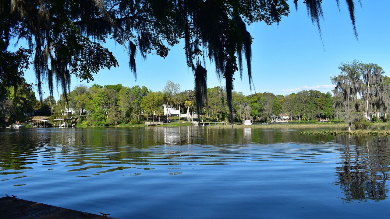 Photo of Others in Dunnellon