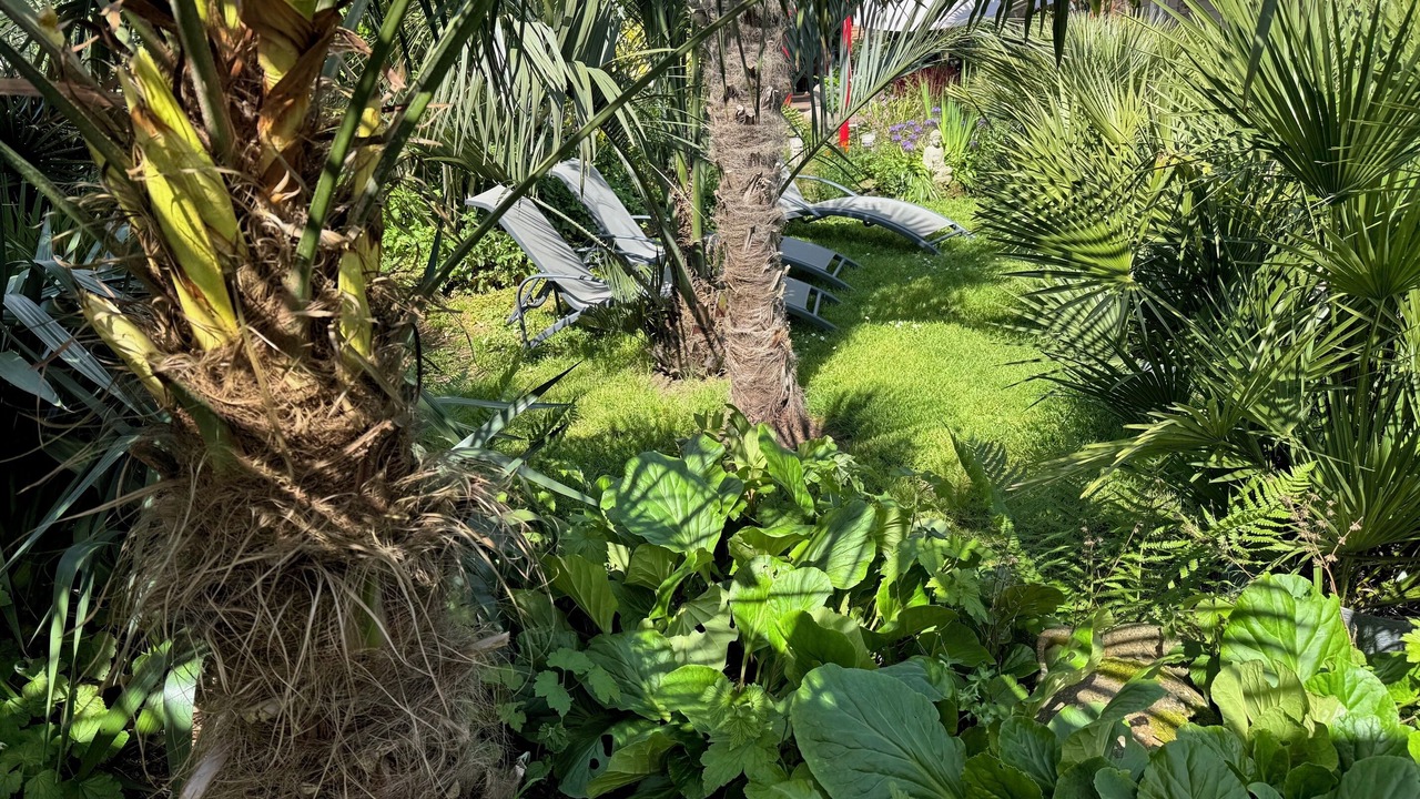 Photo of Outdoor in Montaigu