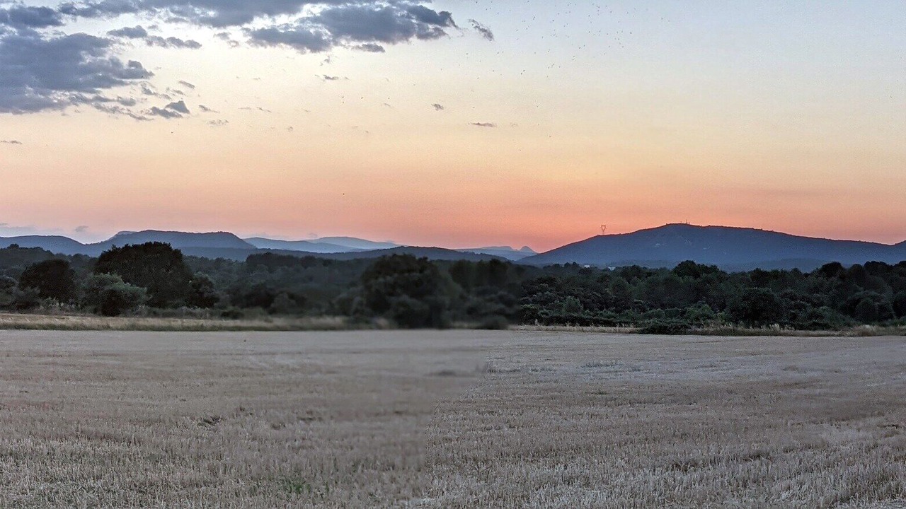 Photo of Others in Saussines