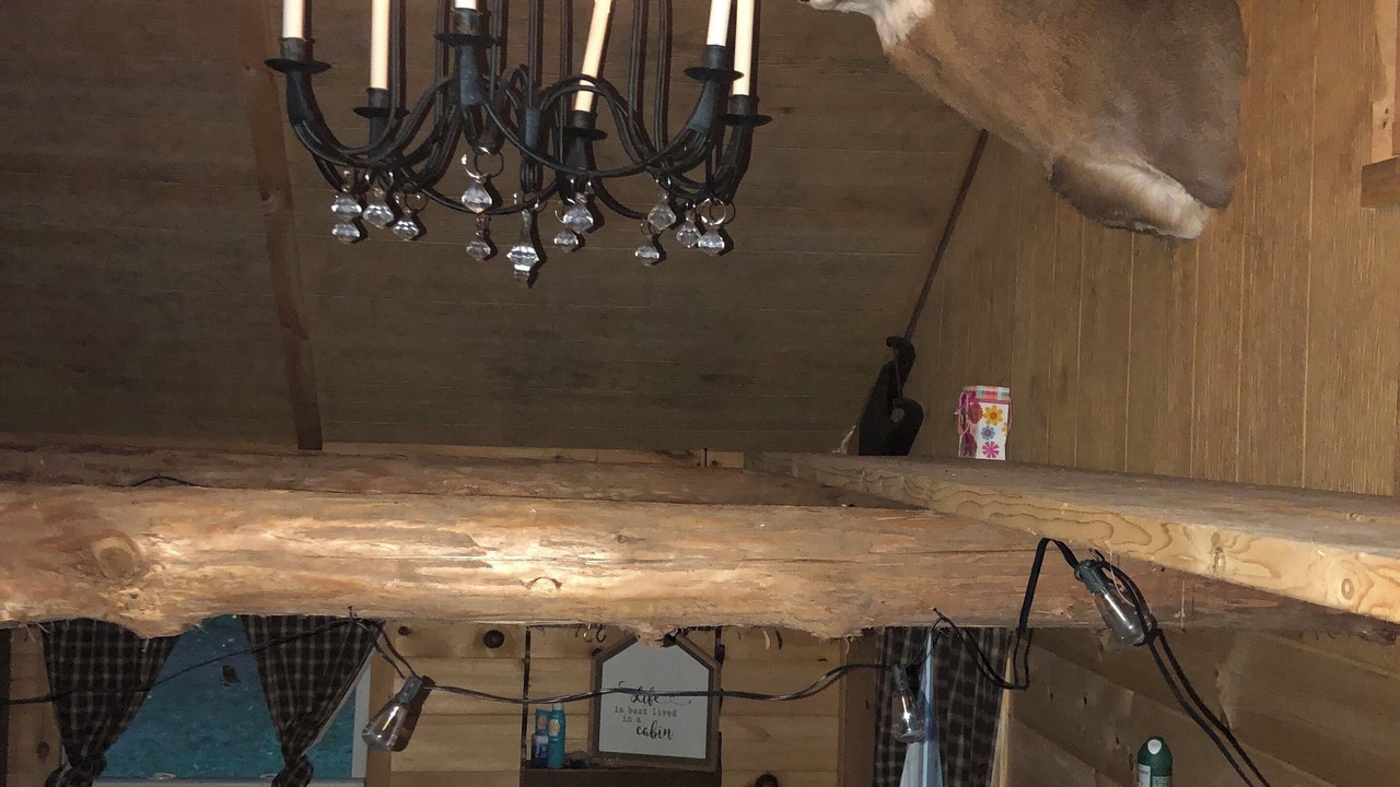 Photo of Others in Remsen