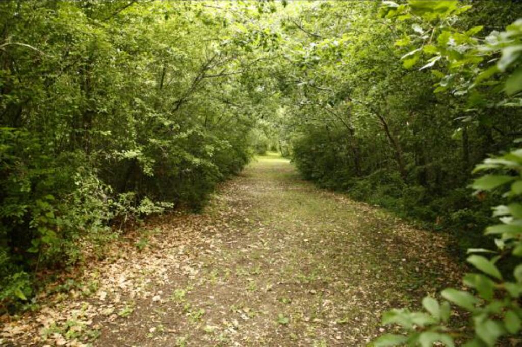 Photo of Outdoor in Lagarde