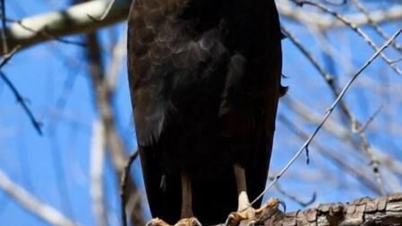 Photo of Others in Cochise County
