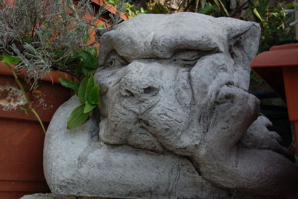 Photo of Outdoor in Roquebrune-Cap-Martin