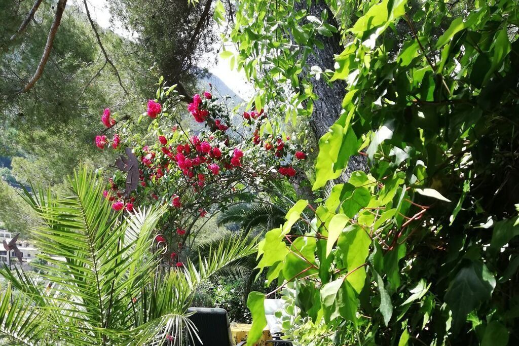 Photo of Outdoor in Roquebrune-Cap-Martin