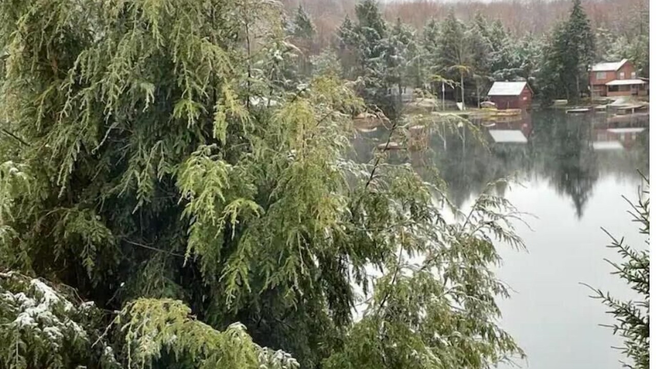 Photo of Outdoor in Star Lake