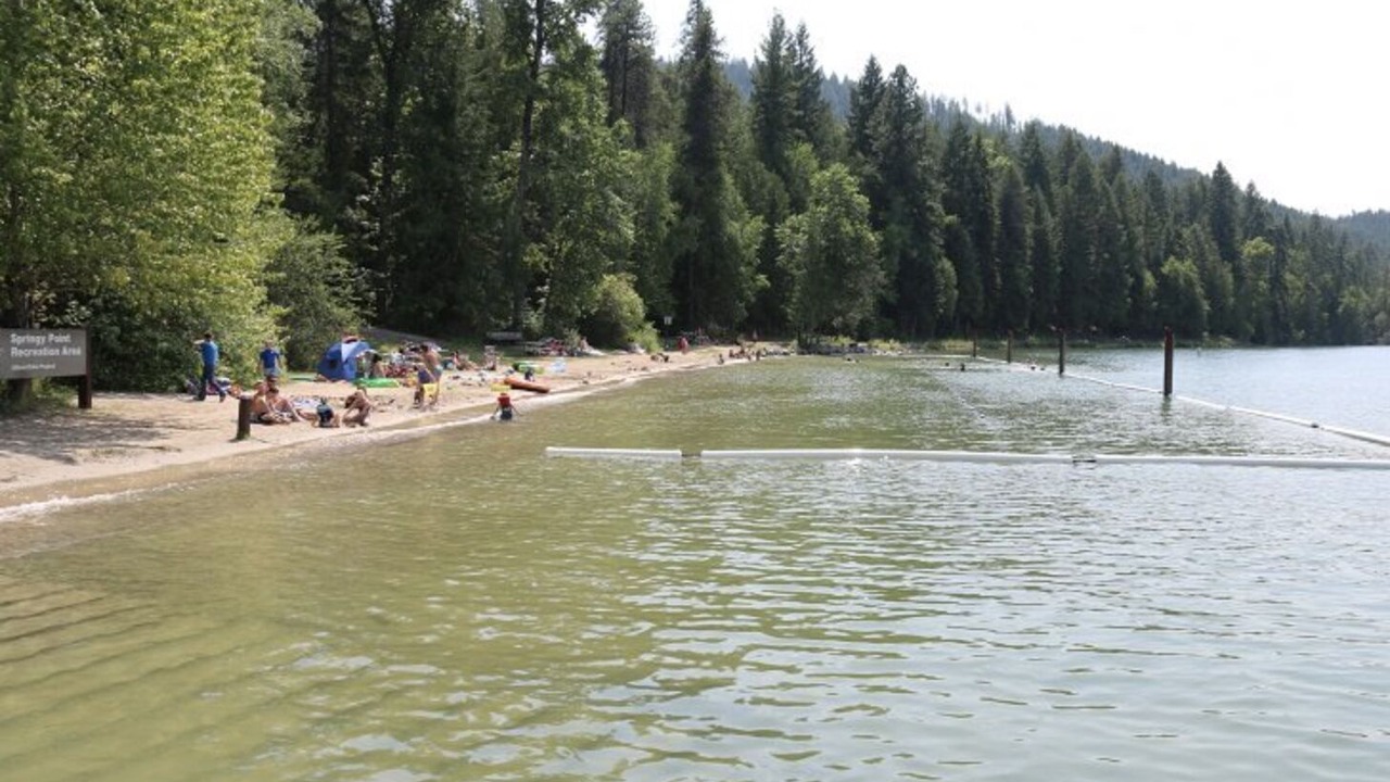 Photo of Others in Sagle