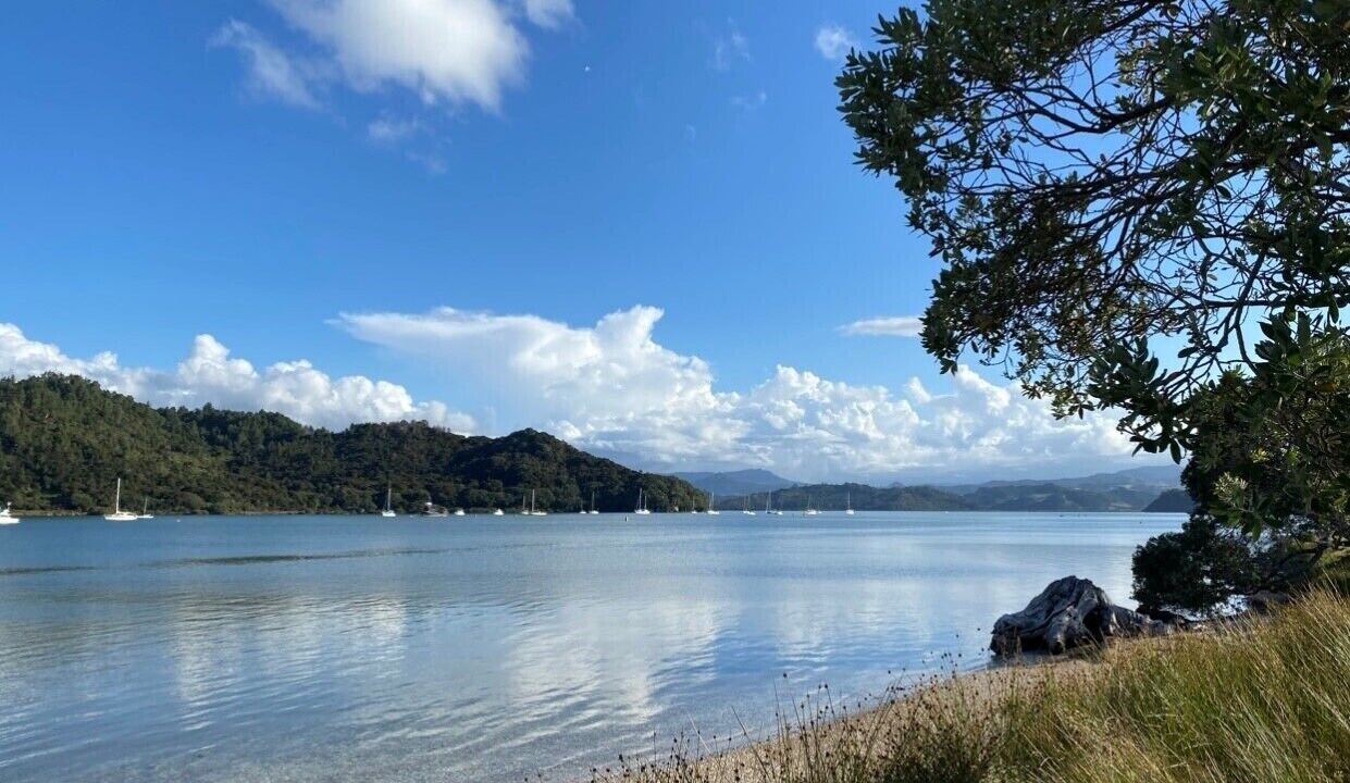 Photo of Others in Whitianga