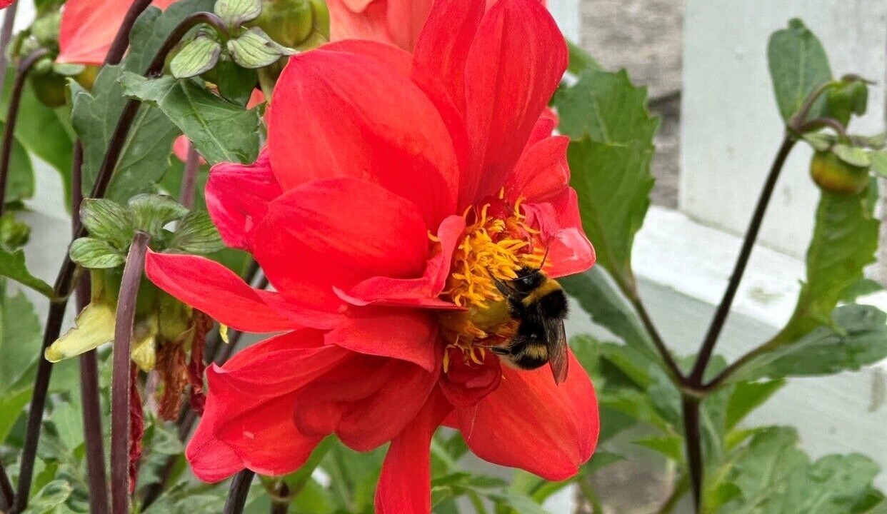 Photo of Outdoor in Whitianga