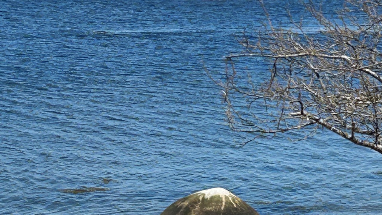 Photo of Others in Ragged Island