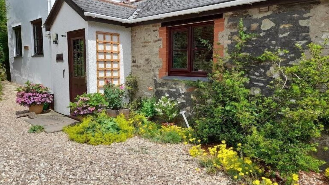 Photo of Others in Dulverton