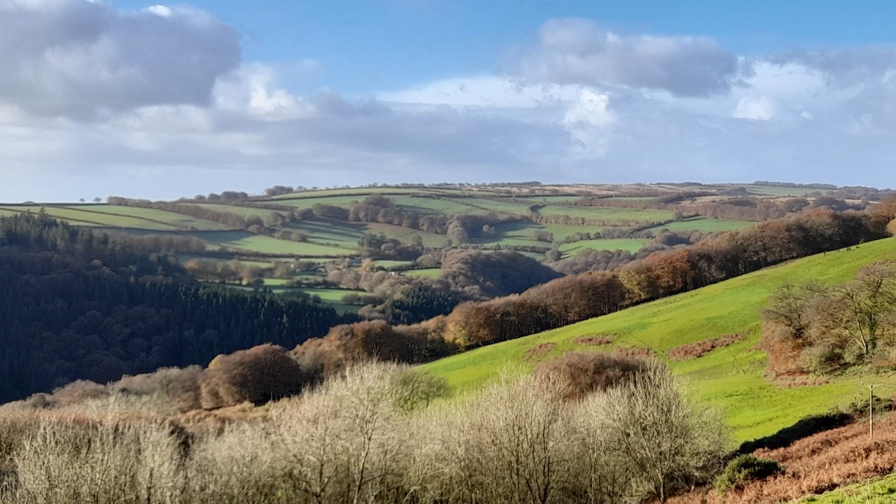 Photo of Others in Dulverton