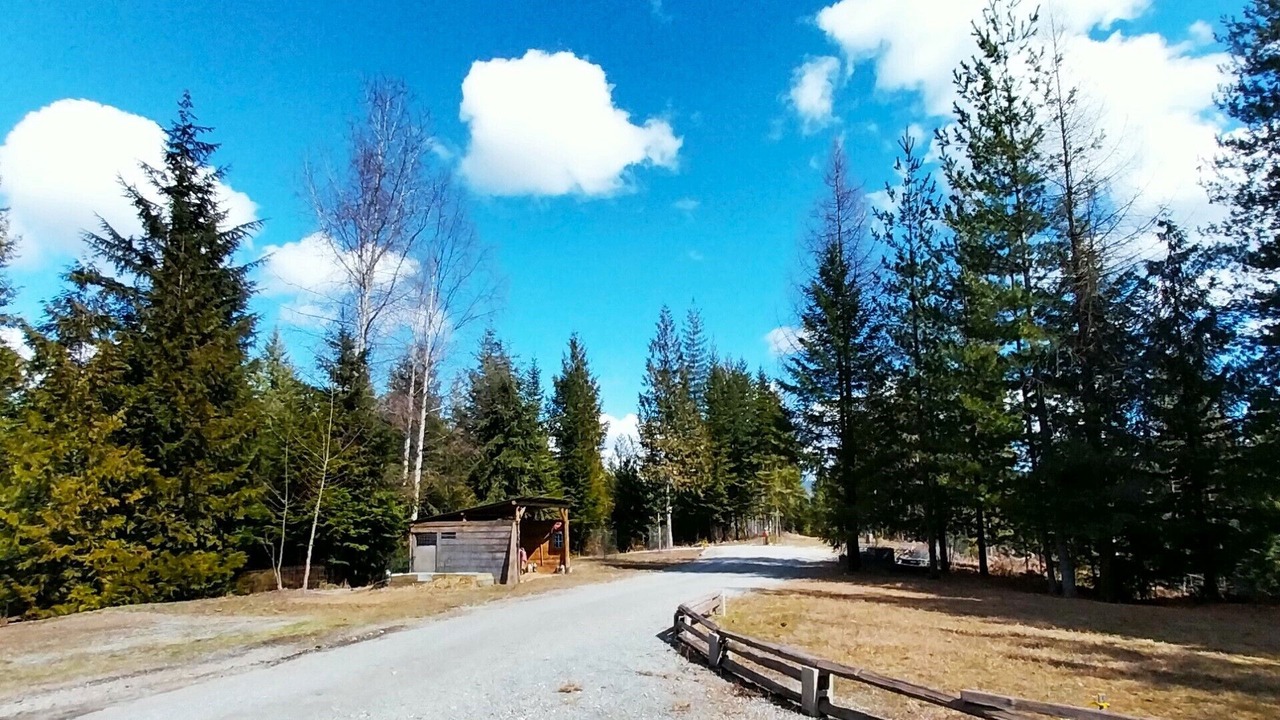 Photo of Others in Priest River