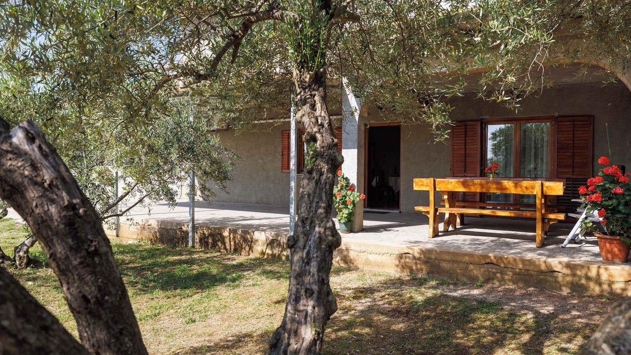 Photo of Outdoor in Nenadici