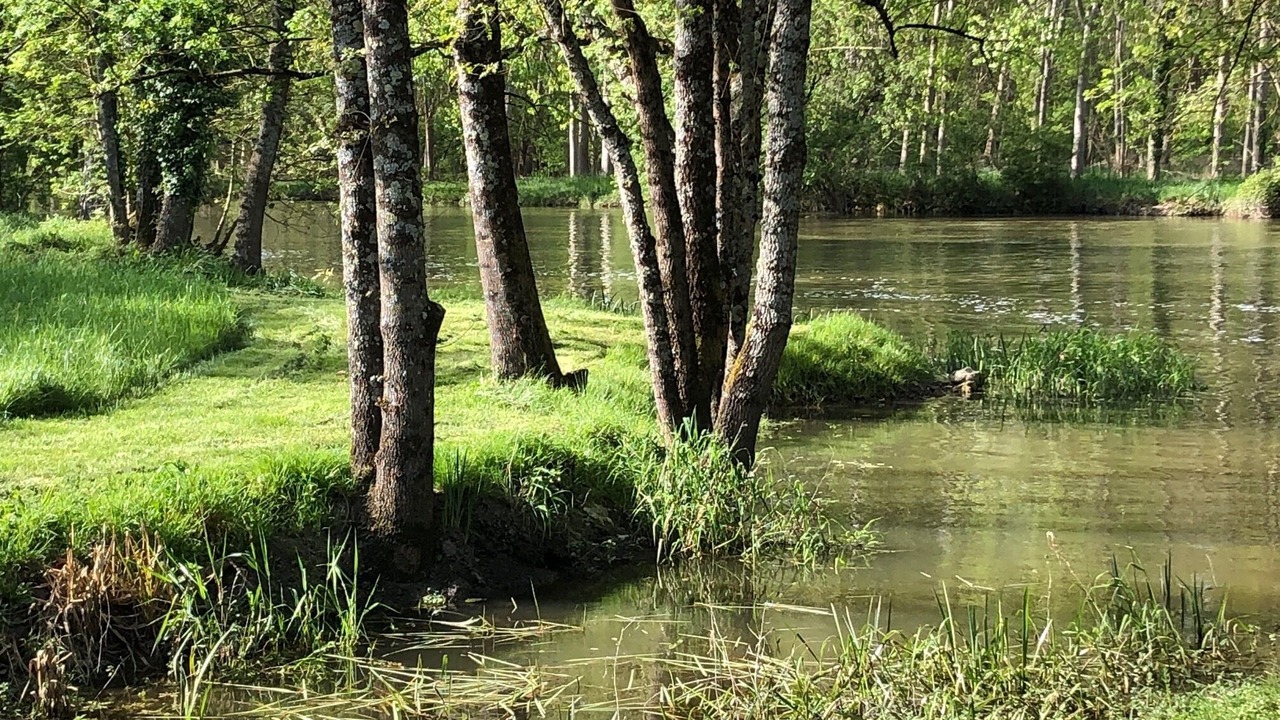 Photo of Others in Artannes-sur-Indre