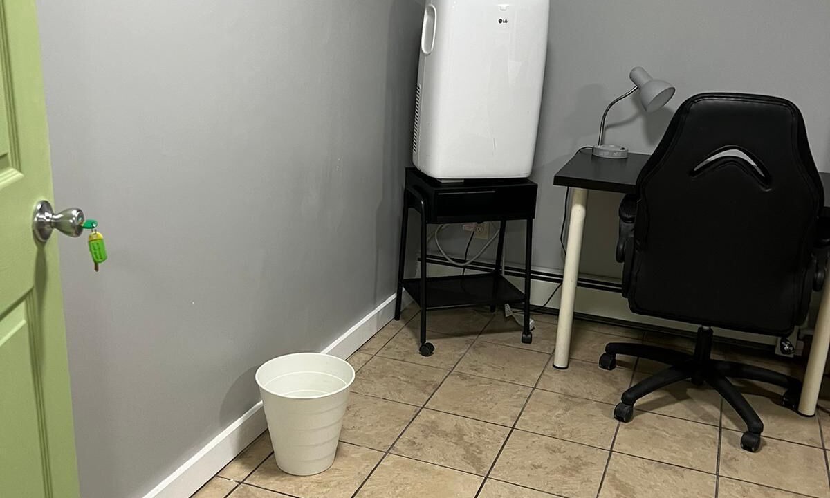 Photo of Others in West Bronx