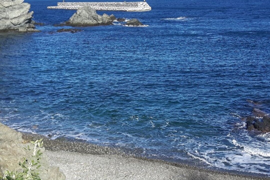 Photo of Others in Llanca