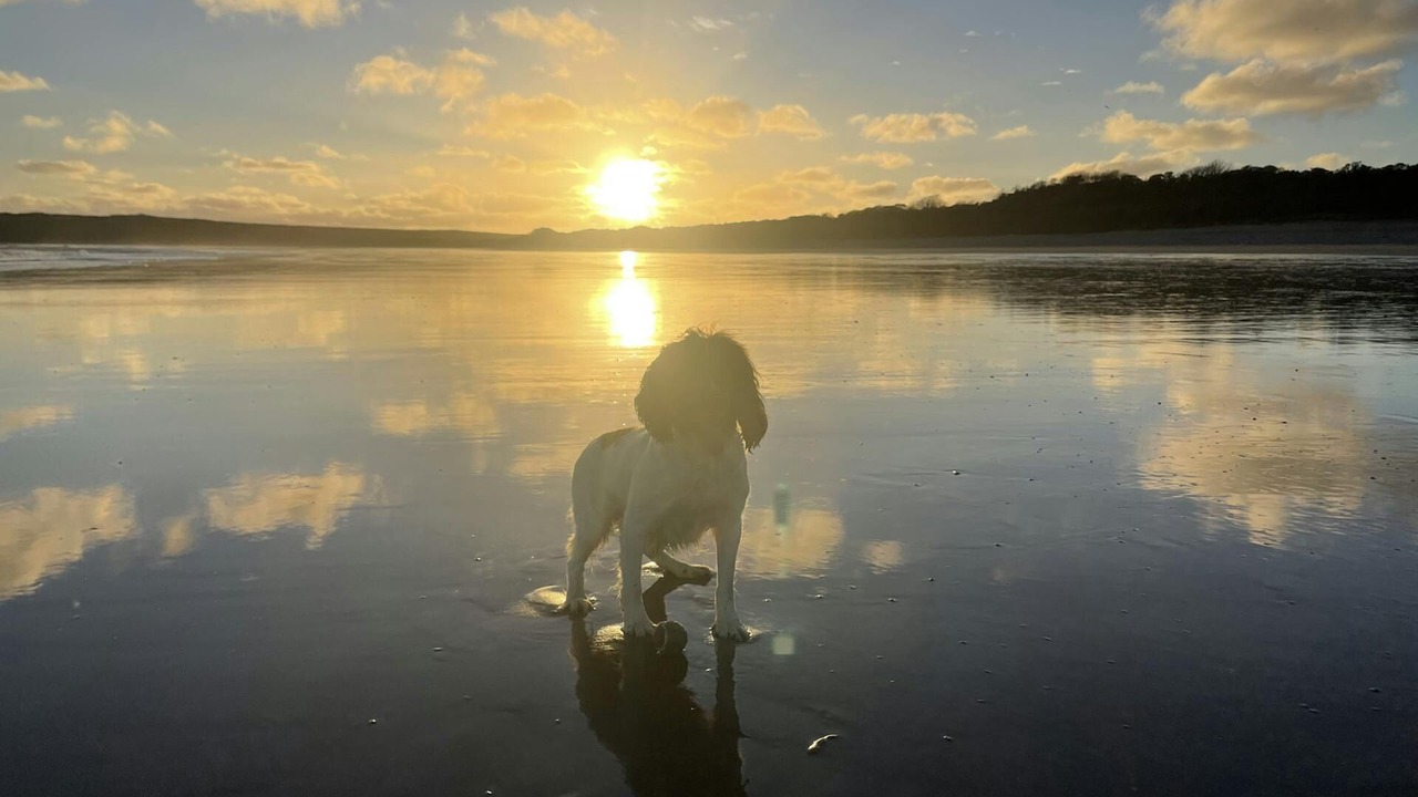 Photo of Others in St. Florence