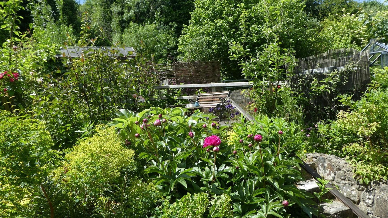 Photo of Outdoor in St Dogmaels