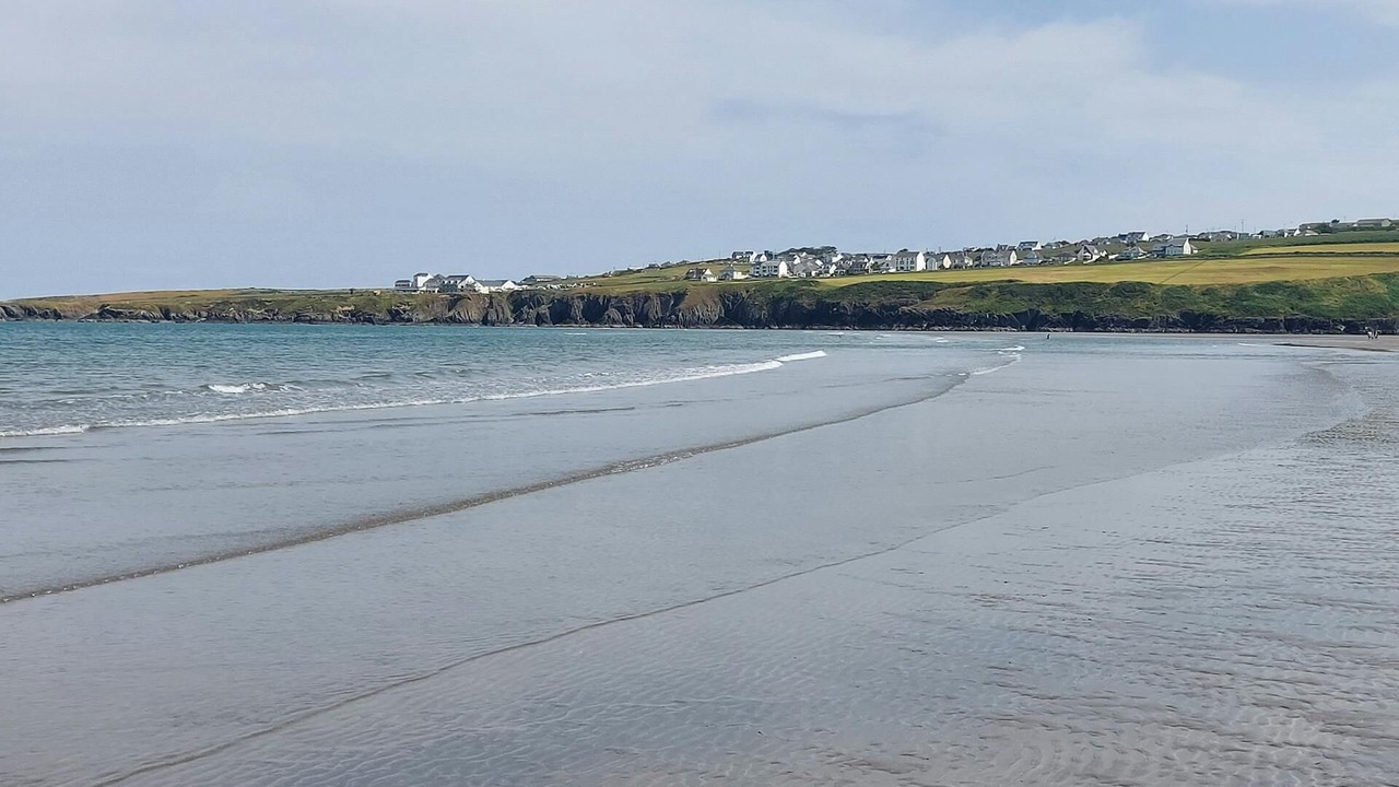 Photo of Others in St Dogmaels